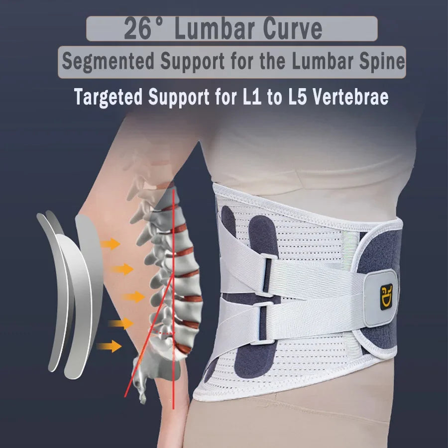 Lower Back Support Belt Brace